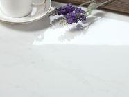 カラーラの白い現代磁器のタイルの屋内および屋外の床および壁の使用