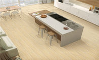 反塵の木製の一見の陶磁器の床タイル、磁器の木製のタイルの浴室の使用