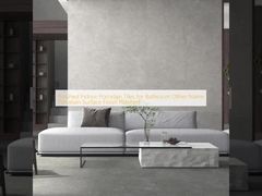 浴室用研磨仕上げ屋内用磁器タイル その他名称 磁器表面仕上げ 研磨