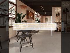 滑り抵抗 R9～R11等級 モダンな磁器タイル お手入れ簡単でメンテナンスも楽 モダンでシンプルなスタイル 耐久性とスタイリッシュな床材ソリューション