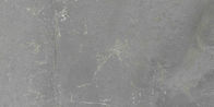 旧式な3Dインクジェット大理石の現代灰色の無光沢の終了する汚れの証拠を床タイル