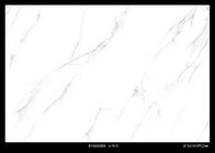 艶をかけられた白いCalacattaカラーラの大理石の磁器のタイル、内部の床タイル810*1410mm