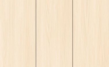 デジタル大理石の設計屋内磁器のタイル300*600 mm/陶磁器の壁のタイル