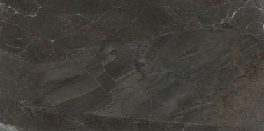 60*120cmの大理石の一見の磁器のタイルの吸収率より少しより0.05%