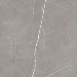 寝室および居間のために薄い内部のセラミック タイルの床の設計60x60cm灰色色