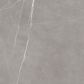 注文60*60セメントの一見の磁器のタイル/耐久およびスリップ防止床の陶磁器のマットのタイル