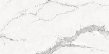 芸術の設計大理石の一見 	900x1800現代磁器のタイル