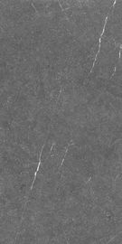 具体的な様式大きい60*120cmのセメントの一見の磁器のタイル