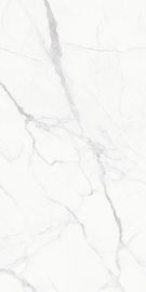 Modernporcelainのタイル張りの床は新しい設計フォーシャン中国の大理石の一見のタイルのサイズ1200*2400mmをタイルを張る