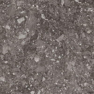 浴室のための艶をかけられたTerrazzoの無作法な磁器の床タイル60x60cm