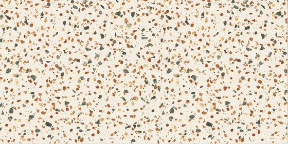 60x120cmのTerrazzoの庭の舗装のための陶磁器の床タイル